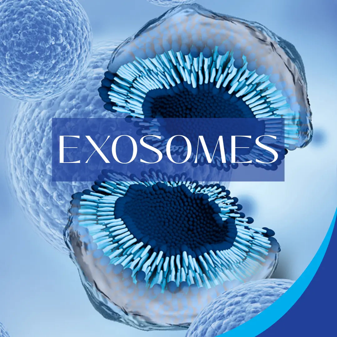 exosomes skin
